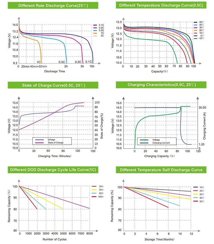 Paquete de baterías de iones de litio 12v 24v
