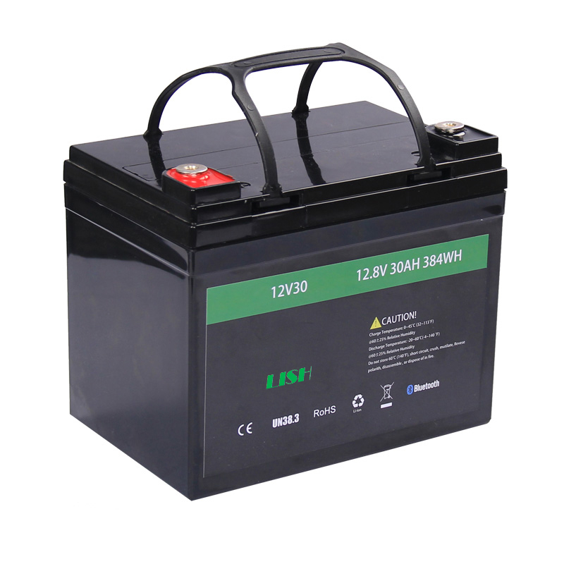 Batería de litio OEM Lifepo4 recargable